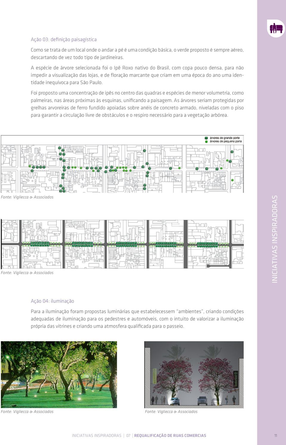 inequívoca para São Paulo. Foi proposto uma concentração de ipês no centro das quadras e espécies de menor volumetria, como palmeiras, nas áreas próximas às esquinas, unificando a paisagem.