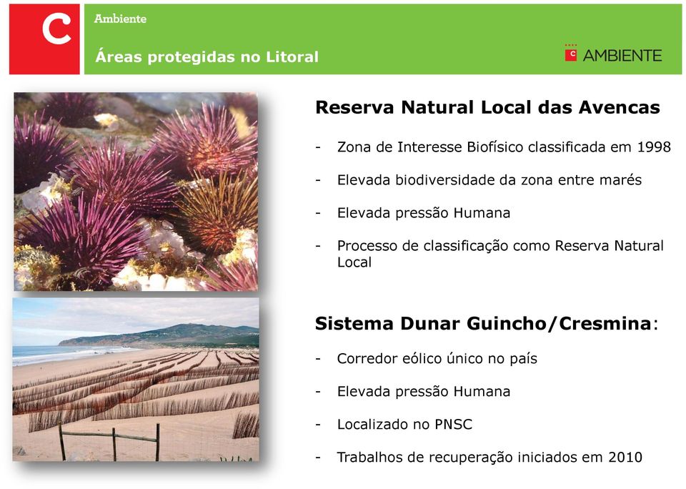 Processo de classificação como Reserva Natural Local Sistema Dunar Guincho/Cresmina: - Corredor