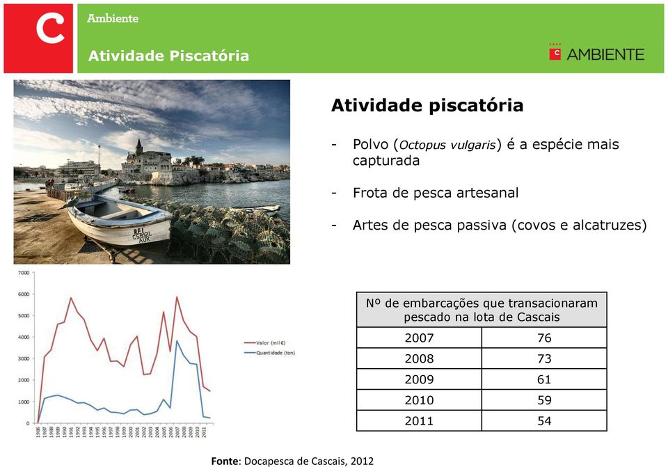 (covos e alcatruzes) Nº de embarcações que transacionaram pescado na lota de