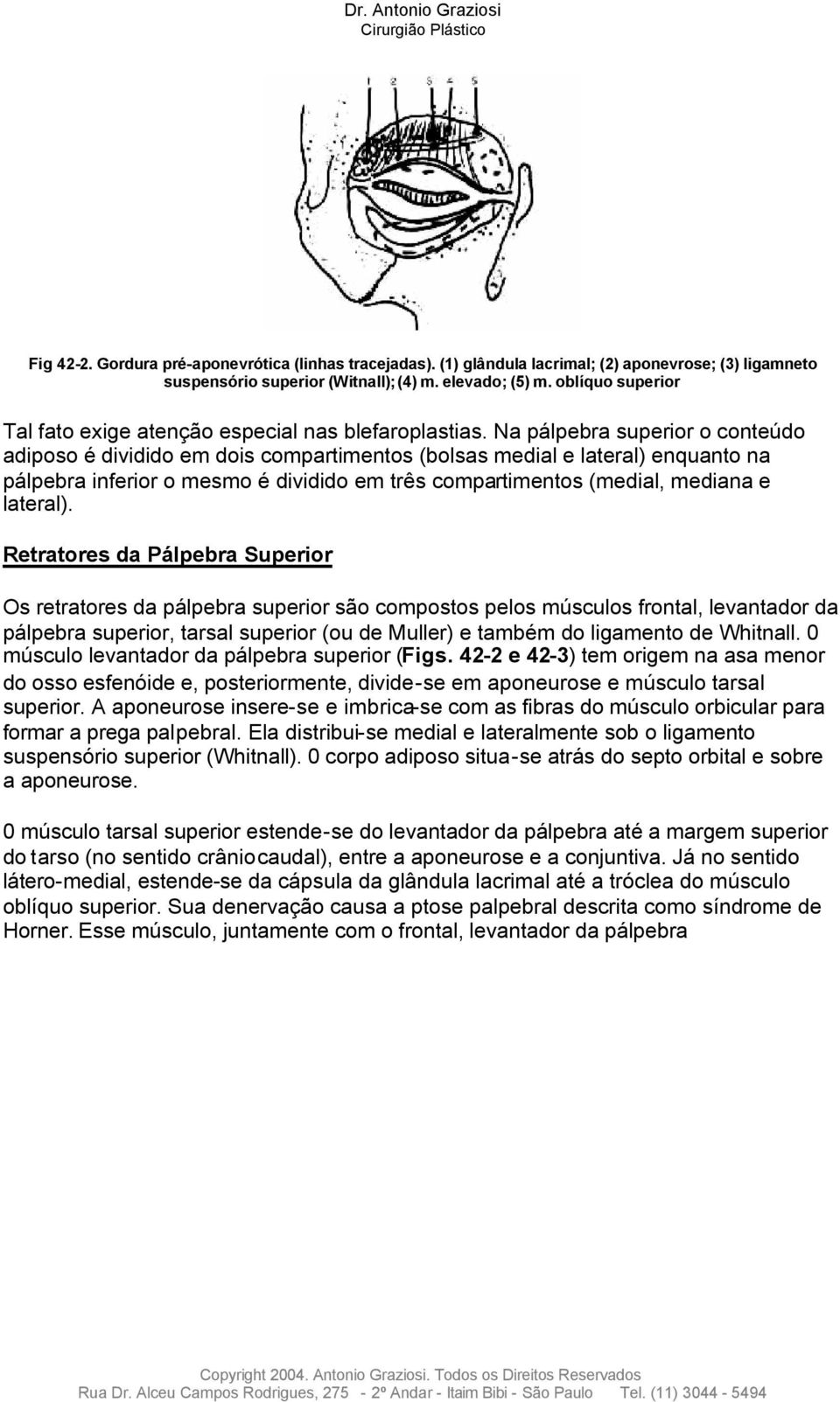 Na pálpebra superior o conteúdo adiposo é dividido em dois compartimentos (bolsas medial e lateral) enquanto na pálpebra inferior o mesmo é dividido em três compartimentos (medial, mediana e lateral).