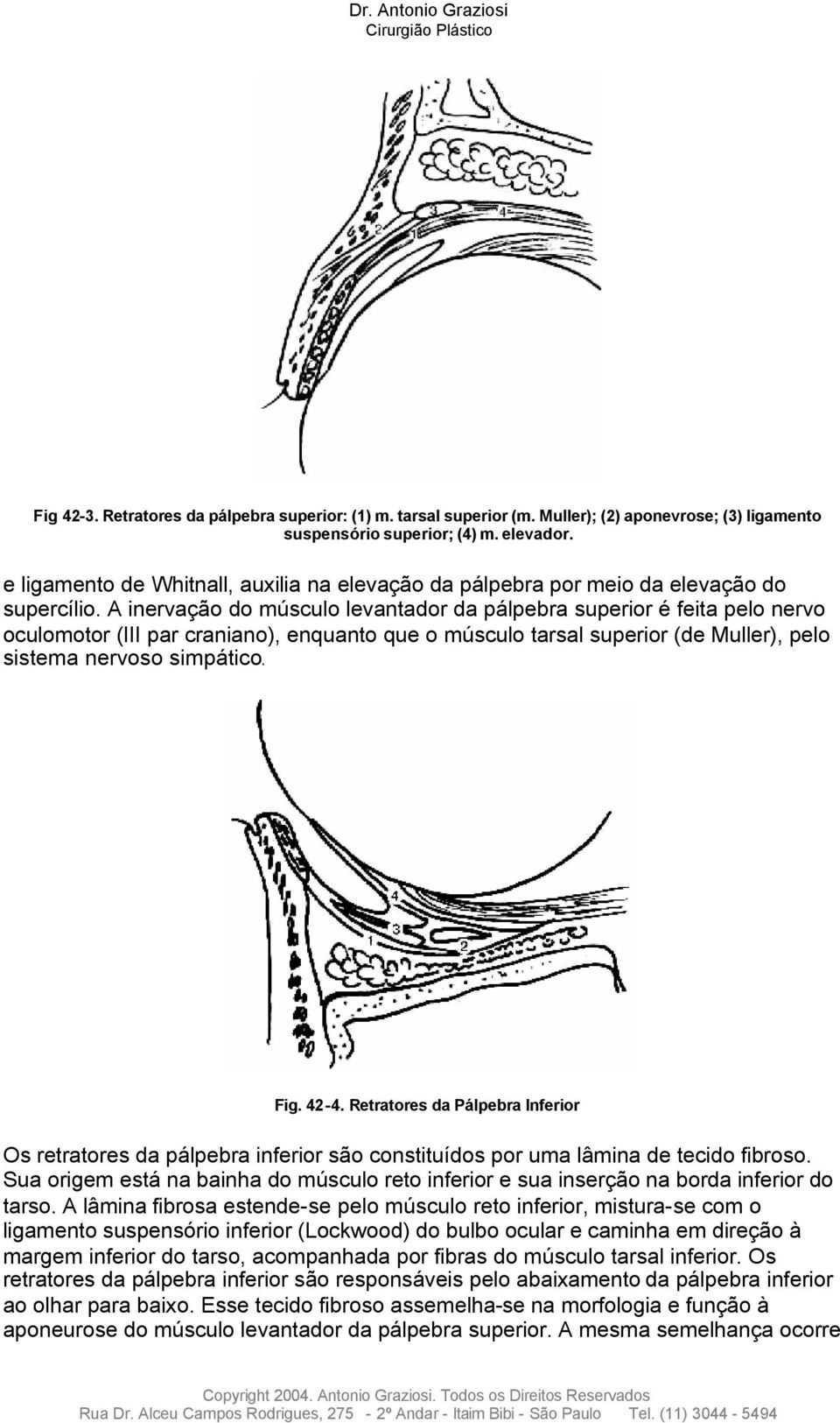 A inervação do músculo levantador da pálpebra superior é feita pelo nervo oculomotor (III par craniano), enquanto que o músculo tarsal superior (de Muller), pelo sistema nervoso simpático. Fig. 42-4.