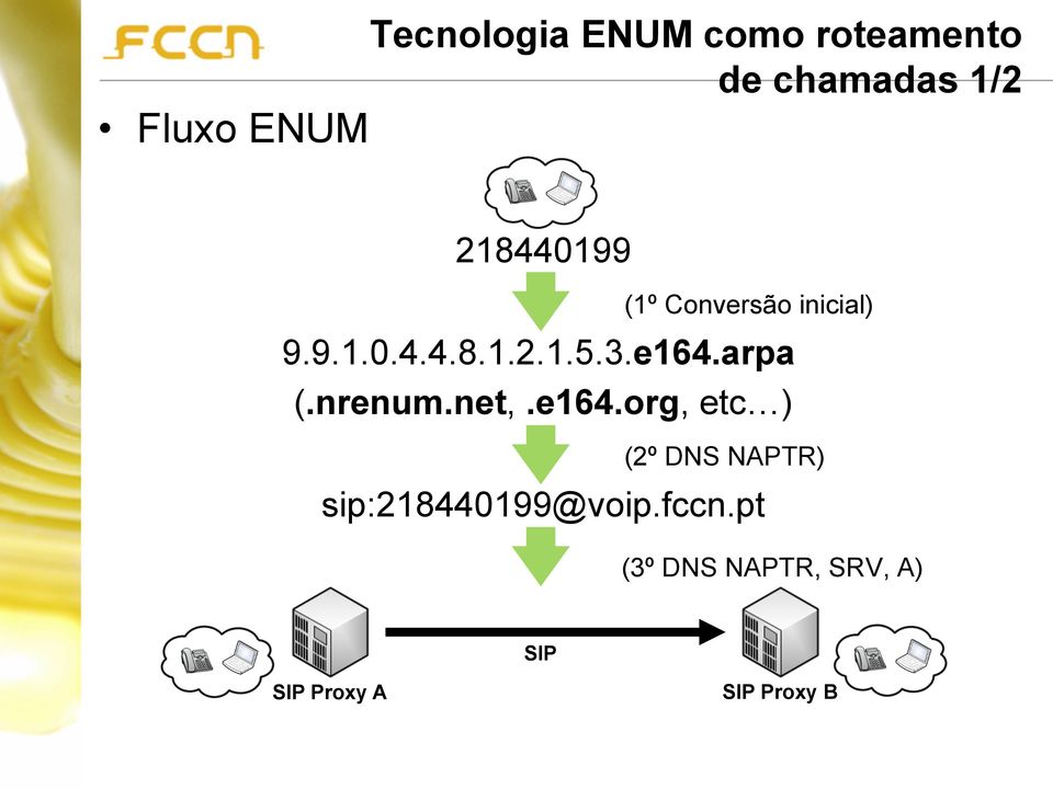 arpa (.nrenum.net,.e164.