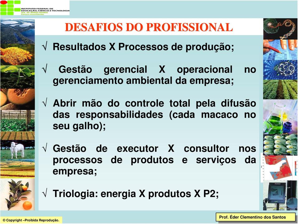 responsabilidades (cada macaco no seu galho); Gestão de executor X consultor nos processos