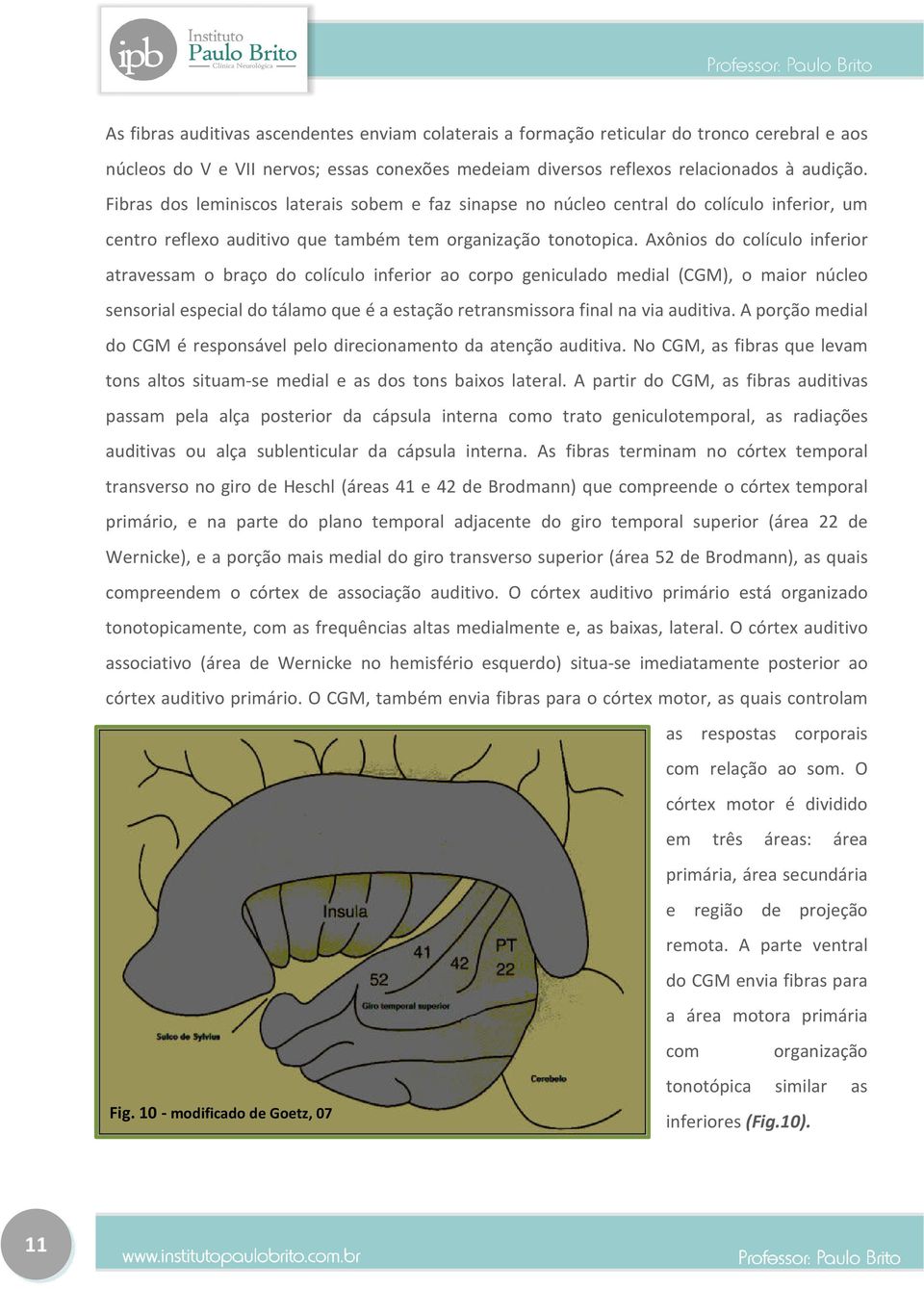 Axônios do colículo inferior atravessam o braço do colículo inferior ao corpo geniculado medial (CGM), o maior núcleo sensorial especial do tálamo que é a estação retransmissora final na via auditiva.