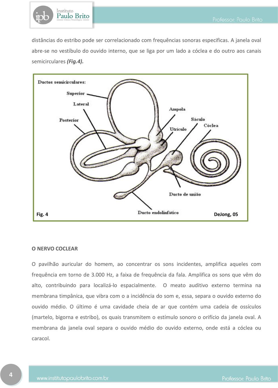 4 DeJong, 05 O NERVO COCLEAR O pavilhão auricular do homem, ao concentrar os sons incidentes, amplifica aqueles com frequência em torno de 3.000 Hz, a faixa de frequência da fala.