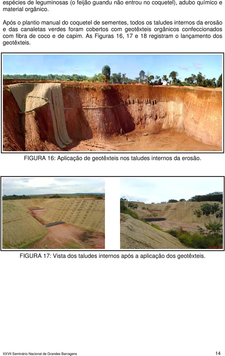 geotêxteis orgânicos confeccionados com fibra de coco e de capim. As Figuras 16, 17 e 18 registram o lançamento dos geotêxteis.