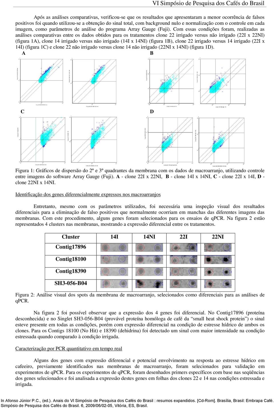 Com essas condições foram, realizadas as análises comparativas entre os dados obtidos para os tratamentos clone 22 irrigado versus não irrigado (22I x 22NI) (figura 1A), clone 14 irrigado versus não