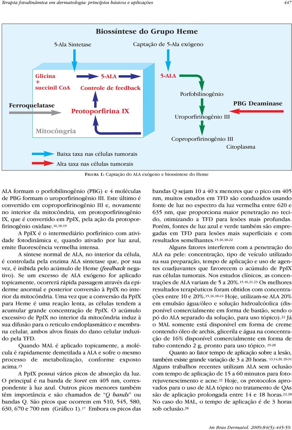 FIGURA 1: Captação do ALA exógeno e biossíntese do Heme ALA formam o porfobilinogênio (PBG) e 4 moléculas de PBG formam o uroporfirinogênio III.