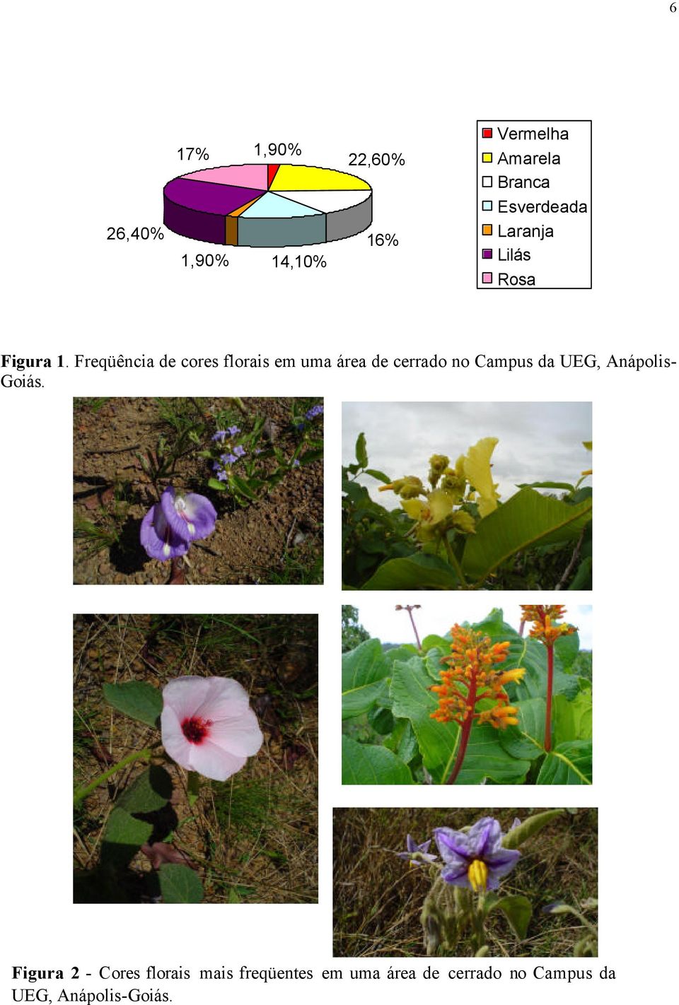 Freqüência de cores florais em uma área de cerrado no Campus da UEG,