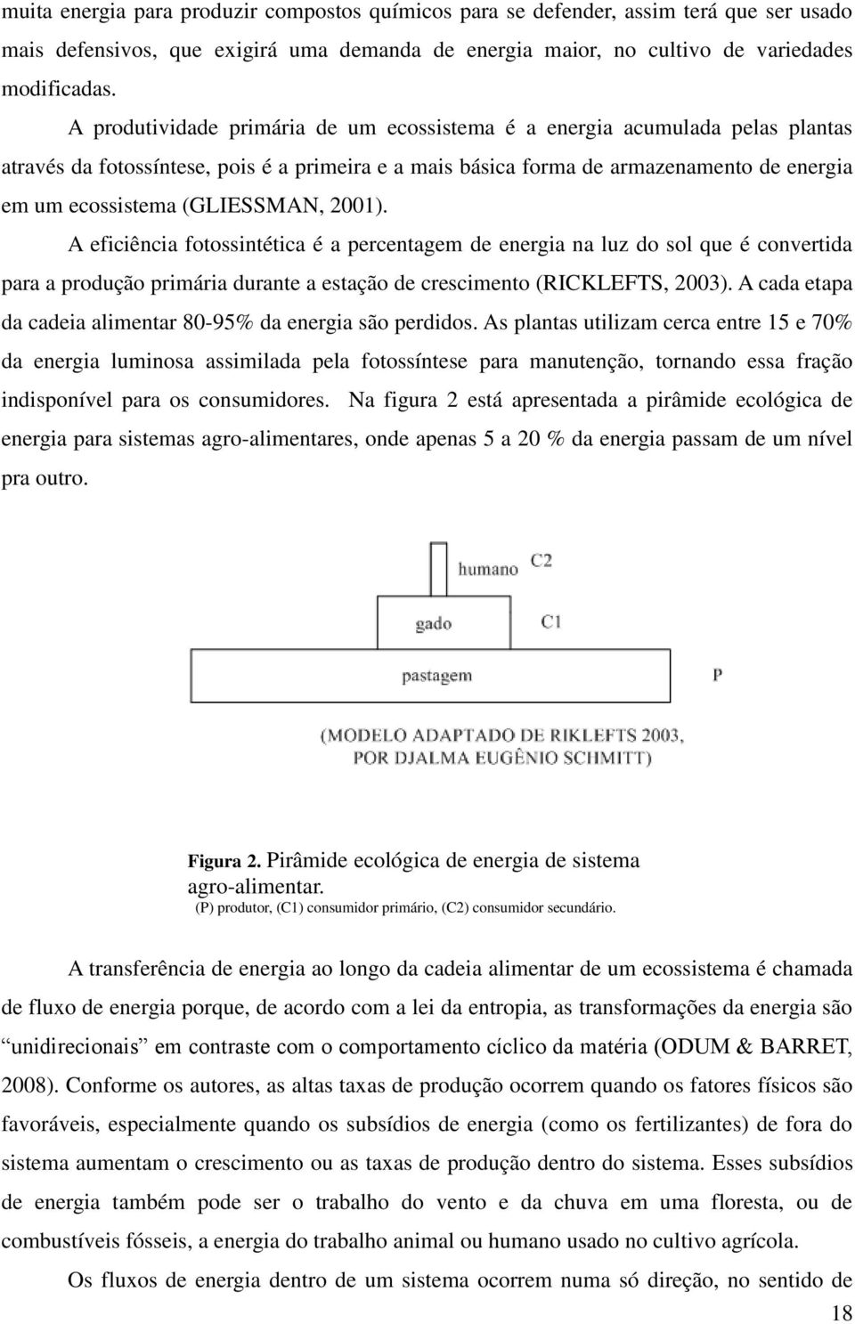 (GLIESSMAN, 2001). A eficiência fotossintética é a percentagem de energia na luz do sol que é convertida para a produção primária durante a estação de crescimento (RICKLEFTS, 2003).