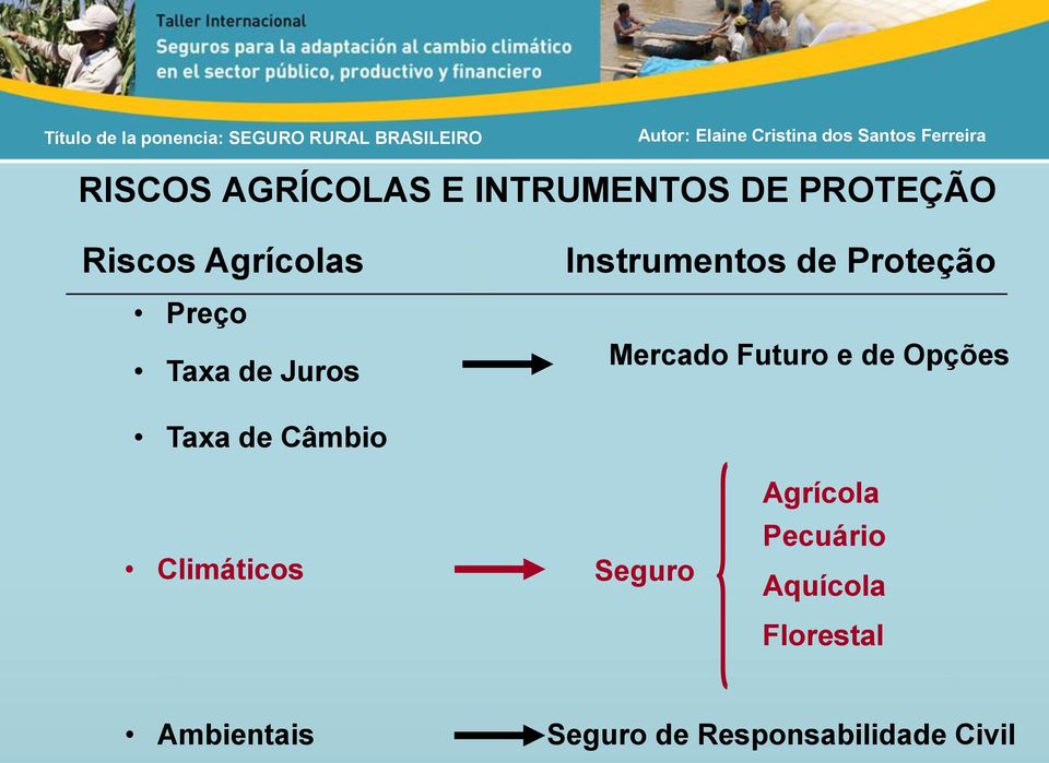 de Opções Taxa de Câmbio Climáticos Seguro Agrícola Pecuário