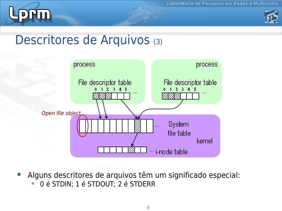 arquivos têm um significado