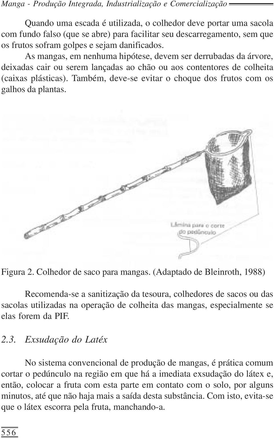 As mangas, em nenhuma hipótese, devem ser derrubadas da árvore, deixadas cair ou serem lançadas ao chão ou aos contentores de colheita (caixas plásticas).