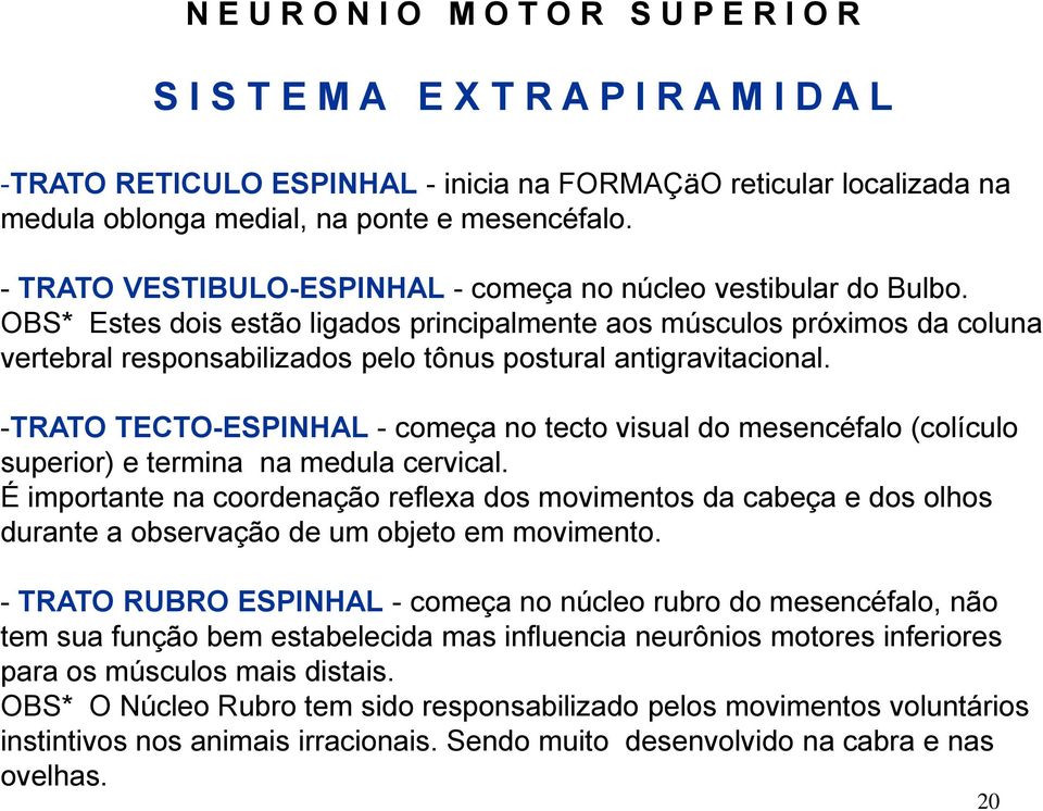 OBS* Estes dois estão ligados principalmente aos músculos próximos da coluna vertebral responsabilizados pelo tônus postural antigravitacional.