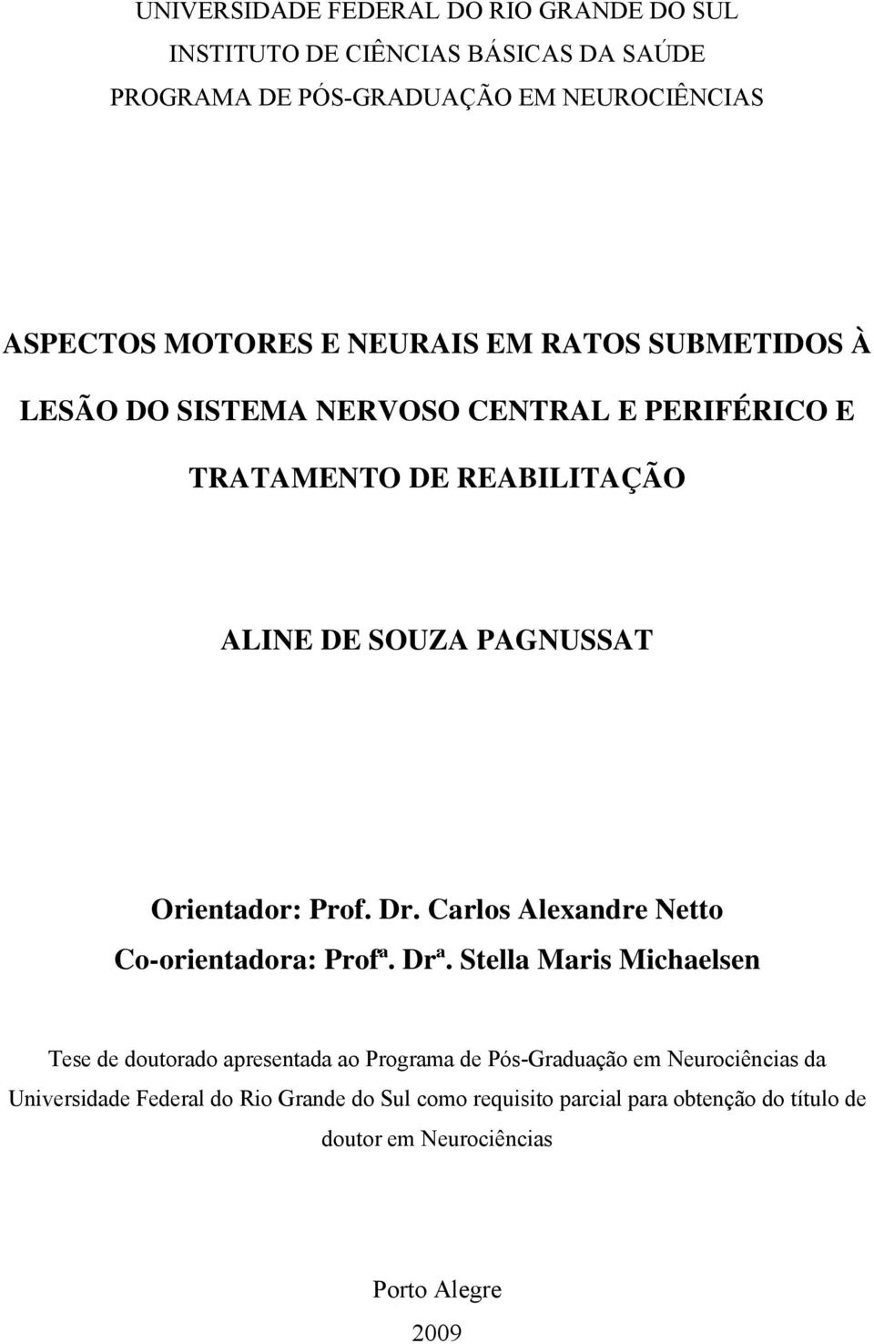 Prof. Dr. Carlos Alexandre Netto Co-orientadora: Profª. Drª.
