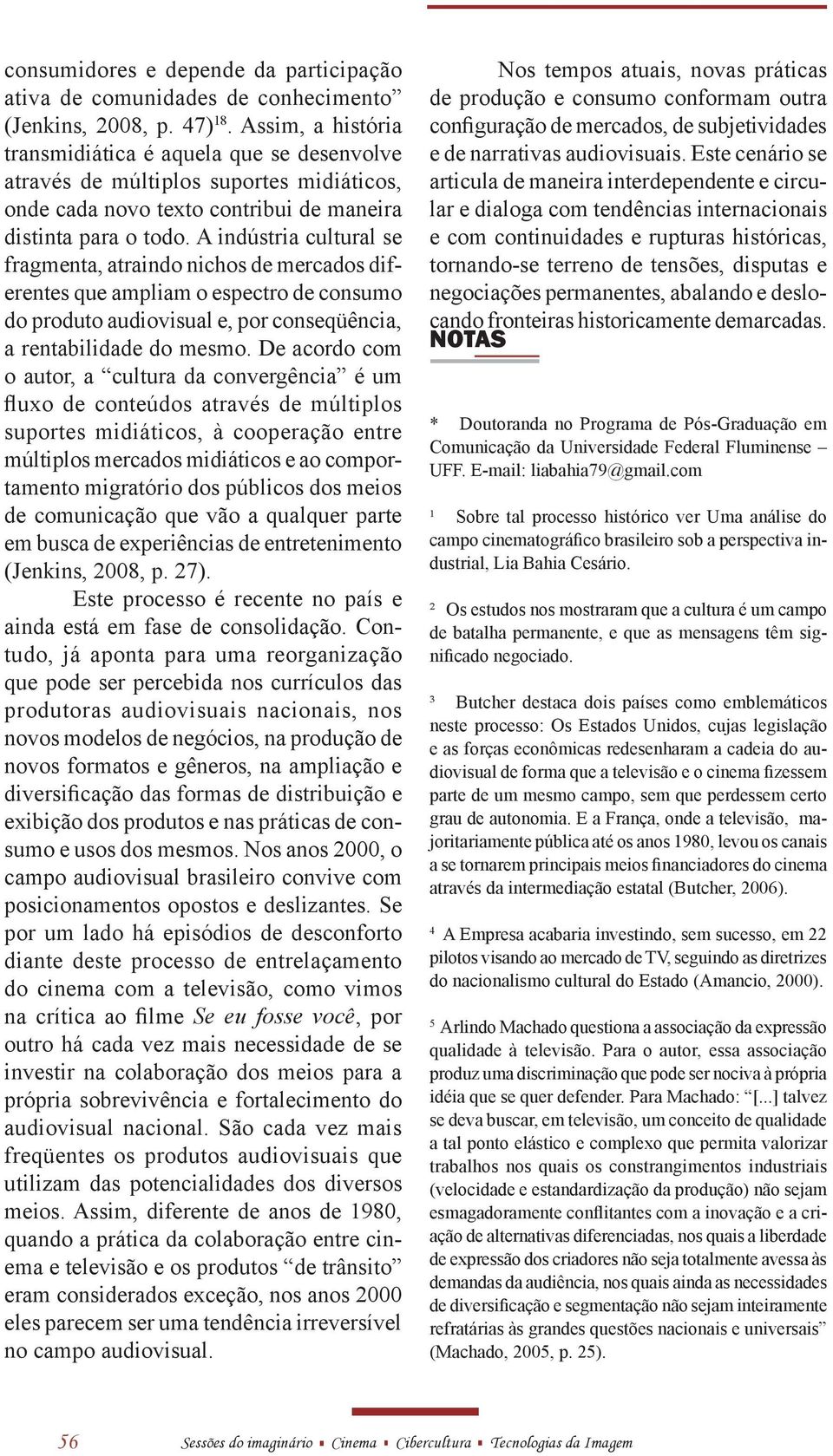 A indústria cultural se fragmenta, atraindo nichos de mercados diferentes que ampliam o espectro de consumo do produto audiovisual e, por conseqüência, a rentabilidade do mesmo.