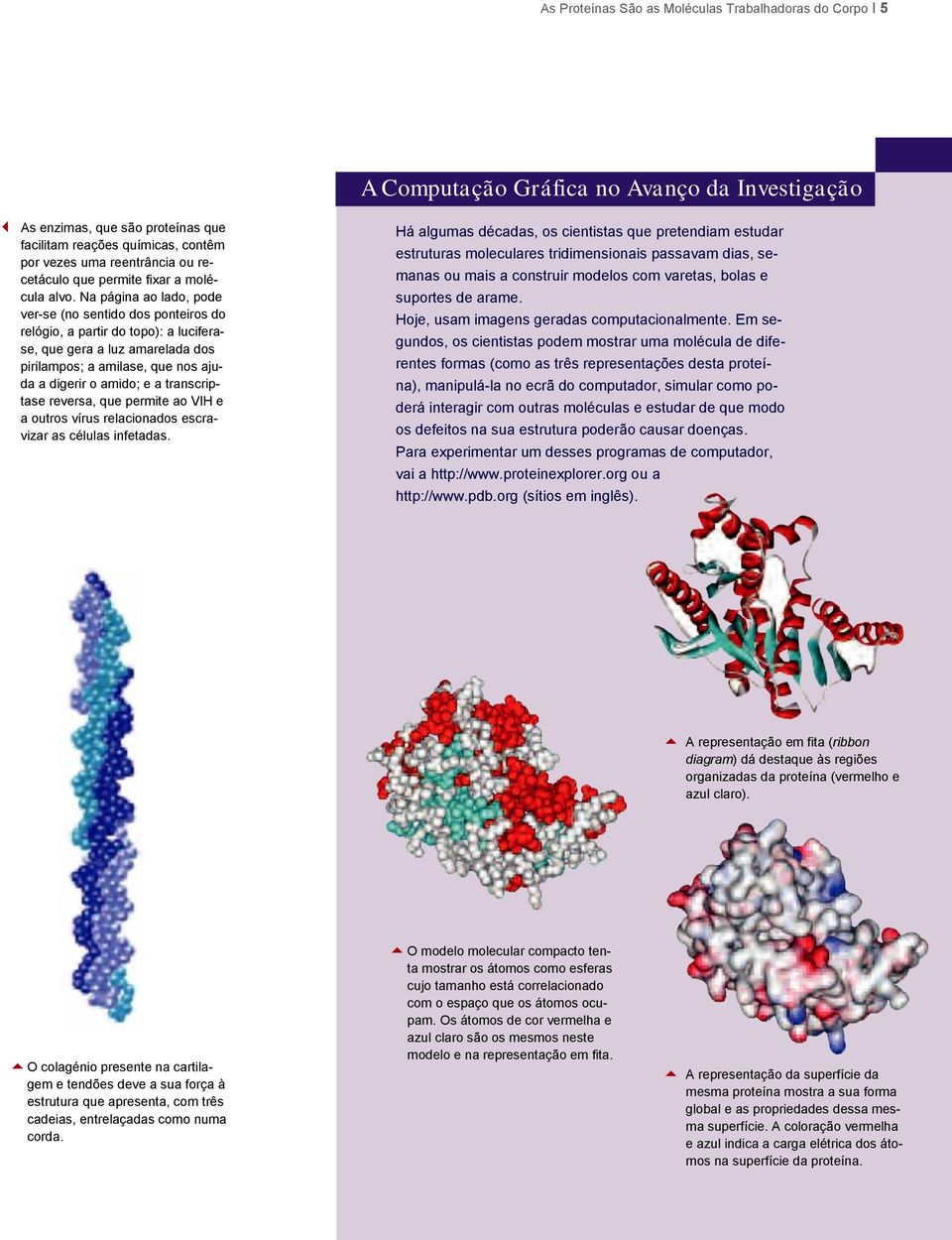 Na página ao lado, pode ver-se (no sentido dos ponteiros do relógio, a partir do topo): a luciferase, que gera a luz amarelada dos pirilampos; a amilase, que nos ajuda a digerir o amido; e a