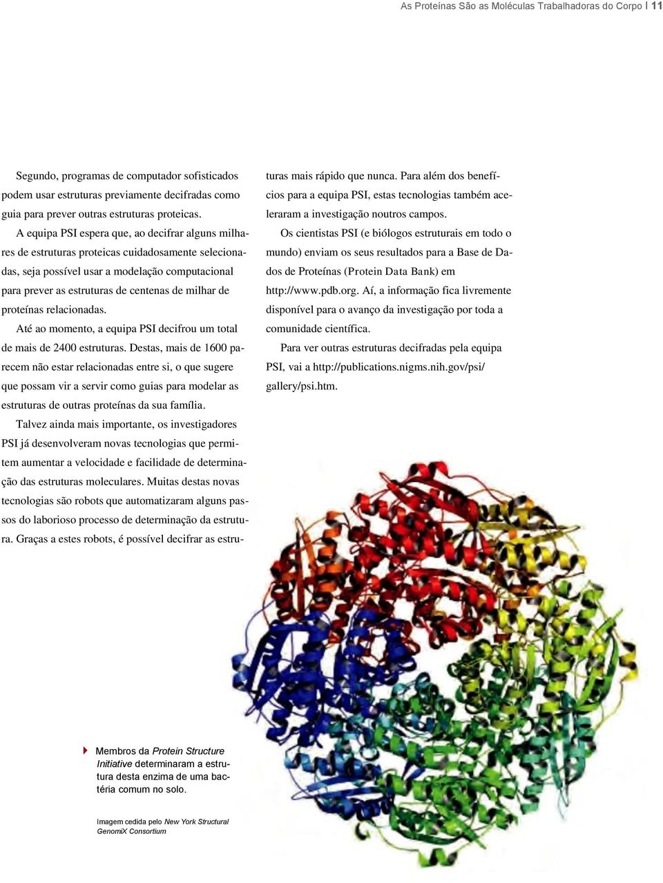 de proteínas relacionadas. Até ao momento, a equipa PSI decifrou um total de mais de 2400 estruturas.