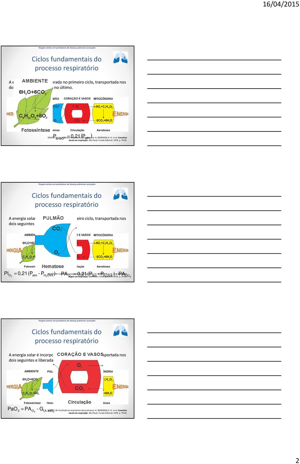Ciclos fundamentais do processo respiratório A energia solar é incorporada no primeiro ciclo, transportada nos dois seguintes e liberada no último. Pl = O 0,1(P - P ) RIGATO, M.