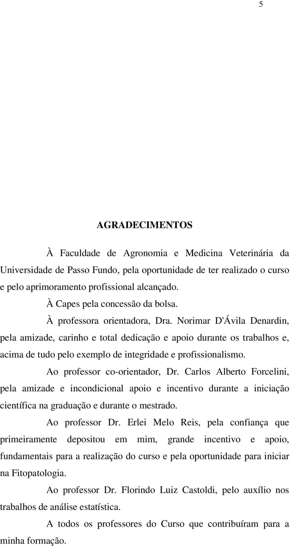 Norimar D'Ávila Denardin, pela amizade, carinho e total dedicação e apoio durante os trabalhos e, acima de tudo pelo exemplo de integridade e profissionalismo. Ao professor co-orientador, Dr.