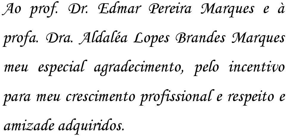 agradecimento, pelo incentivo para meu