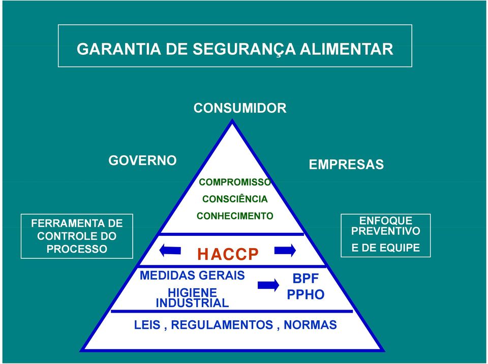 CONHECIMENTO HACCP MEDIDAS GERAIS HIGIENE INDUSTRIAL BPF