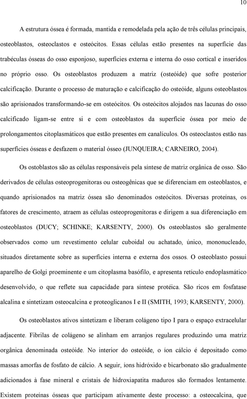 Os osteoblastos produzem a matriz (osteóide) que sofre posterior calcificação.