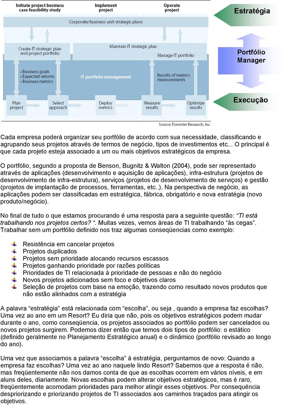 O portfólio, segundo a proposta de Benson, Bugnitz & Walton (2004), pode ser representado através de aplicações (desenvolvimento e aquisição de aplicações), infra-estrutura (projetos de