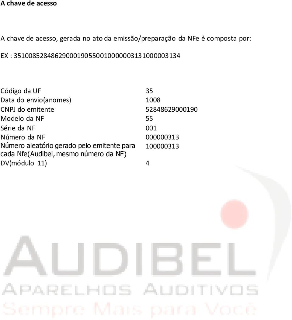 CNPJ do emitente 52848629000190 Modelo da NF 55 Série da NF 001 Número da NF 000000313 Número