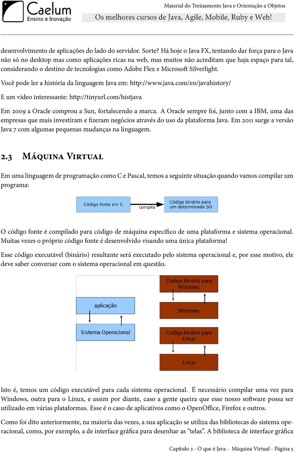 Adobe Flex e Microsoft Silverlight. Você pode ler a história da linguagem Java em: http://www.java.com/en/javahistory/ E um vídeo interessante: http://tinyurl.