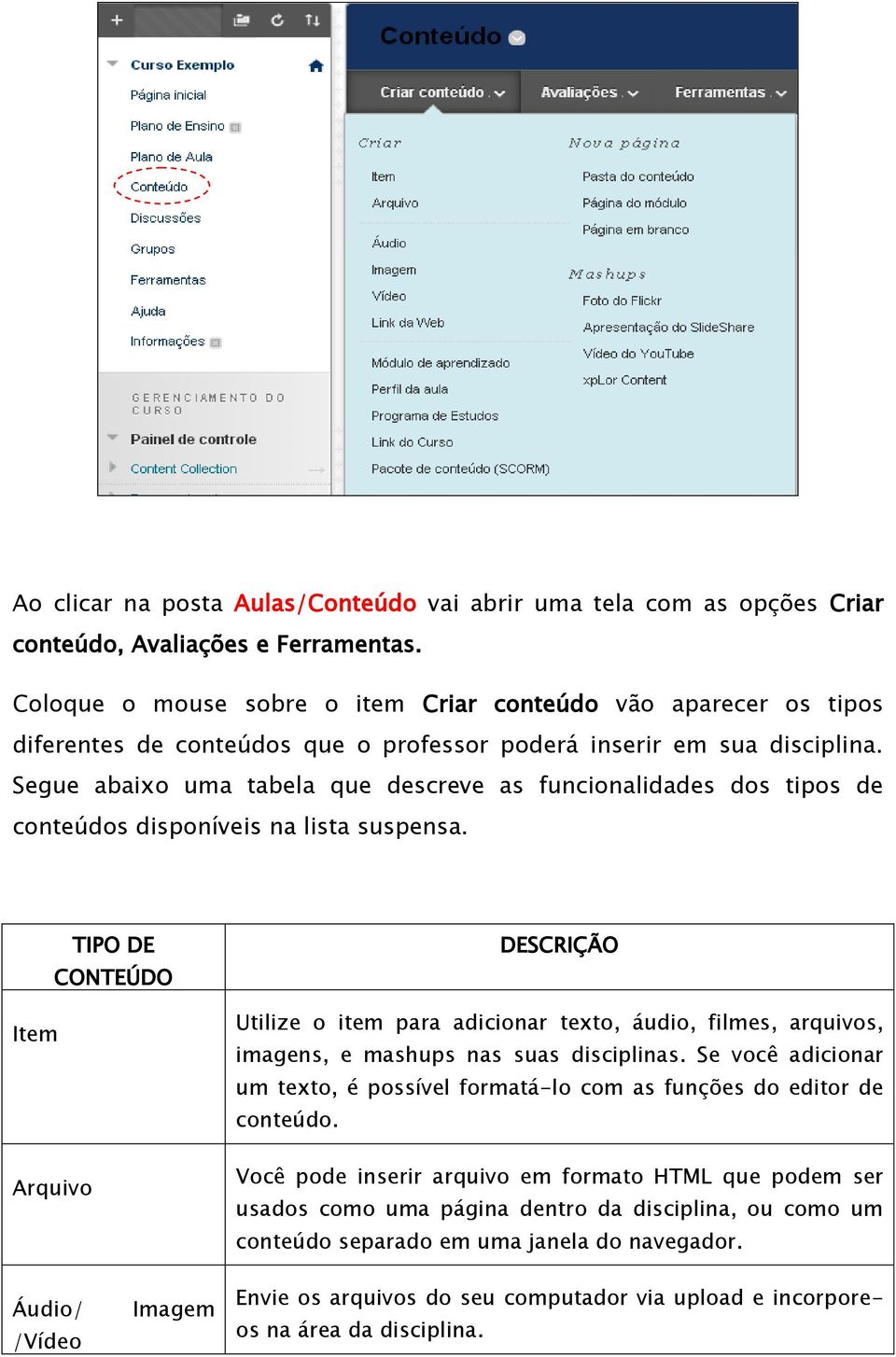 Segue abaixo uma tabela que descreve as funcionalidades dos tipos de conteúdos disponíveis na lista suspensa.