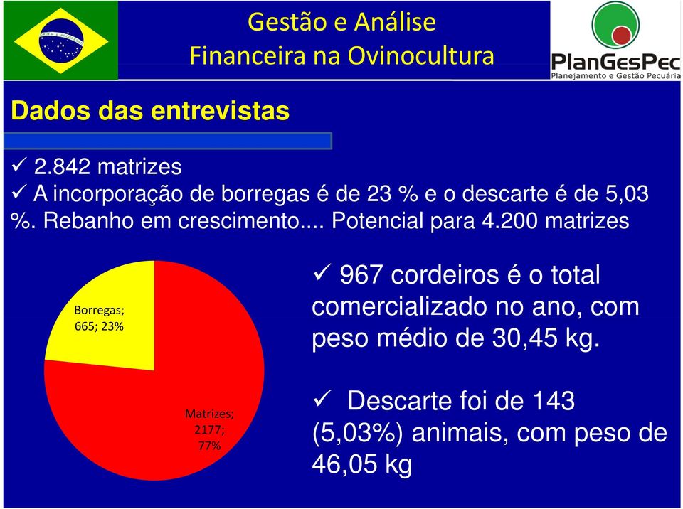 Rebanho em crescimento... Potencial para 4.