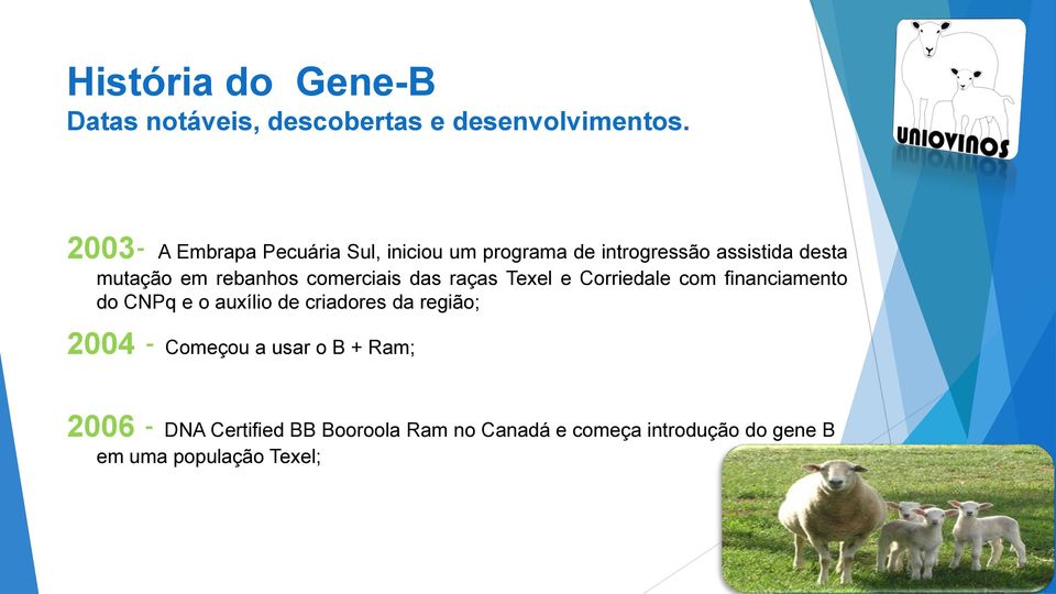 rebanhos comerciais das raças Texel e Corriedale com financiamento do CNPq e o auxílio de criadores