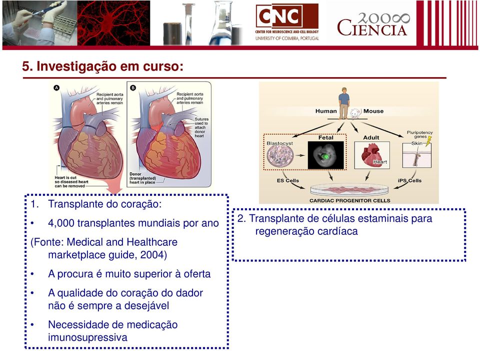 Healthcare marketplace guide, 2004) A procura é muito superior à oferta A qualidade