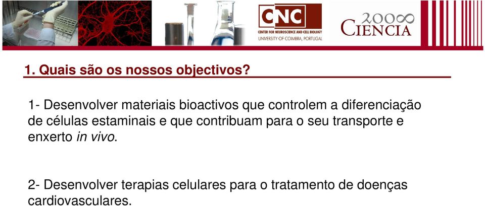 estaminais e que contribuam para o seu transporte e enxerto in vivo.