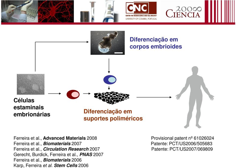 , Biomaterials 2007 Patente: PCT/US2006/505683 Ferreira et al.