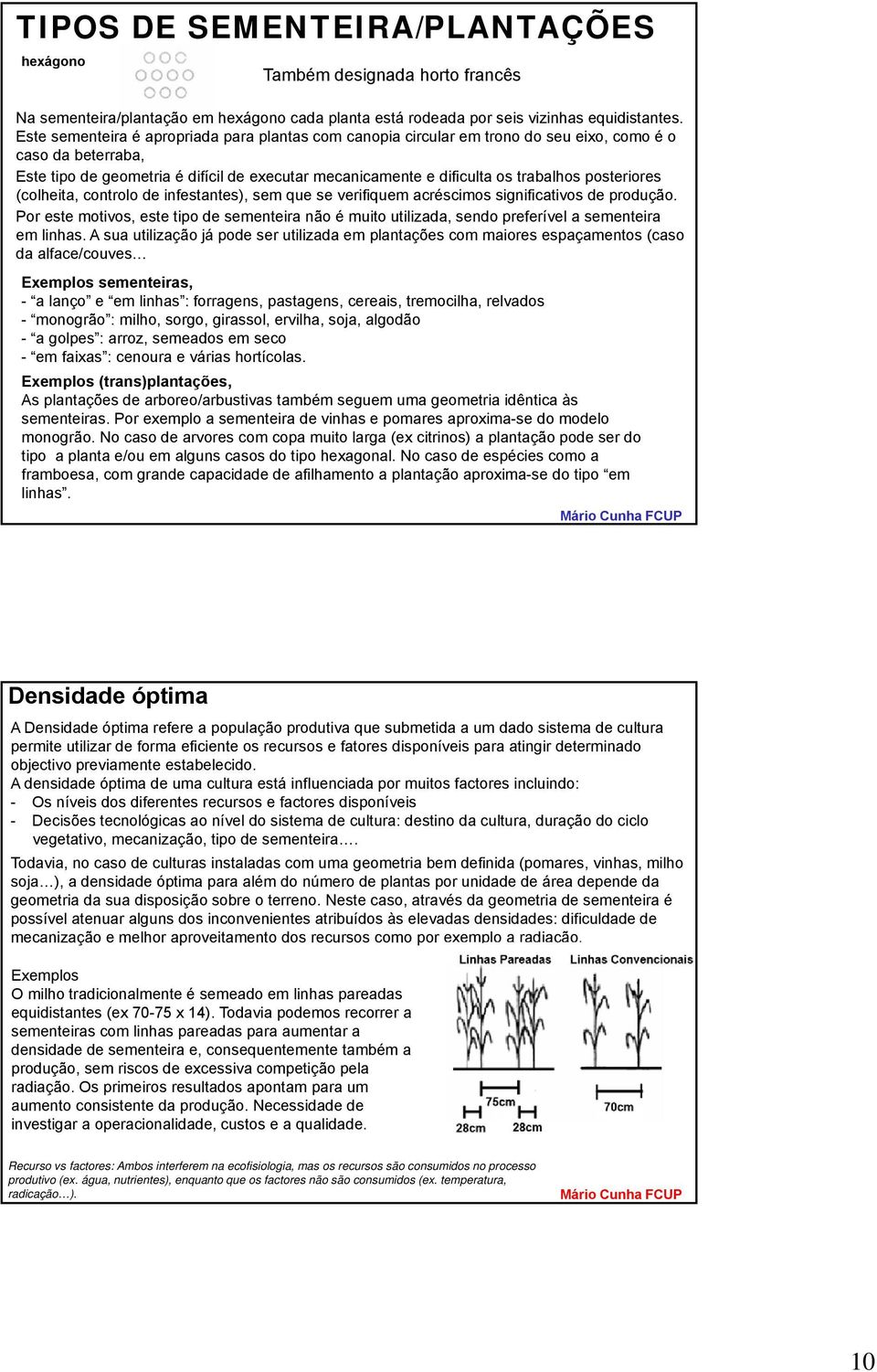 posteriores (colheita, controlo de infestantes), sem que se verifiquem acréscimos significativos de produção.