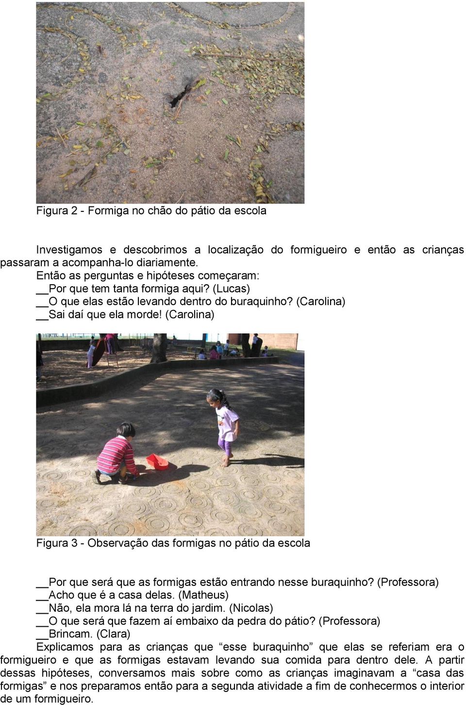 (Carolina) Figura 3 - Observação das formigas no pátio da escola Por que será que as formigas estão entrando nesse buraquinho? (Professora) Acho que é a casa delas.