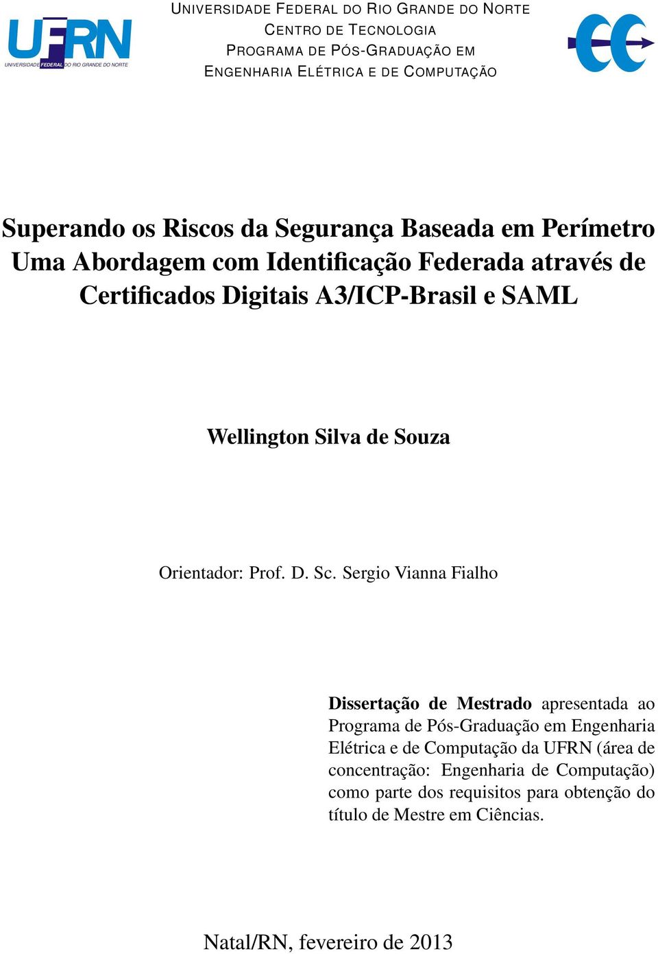 Wellington Silva de Souza Orientador: Prof. D. Sc.