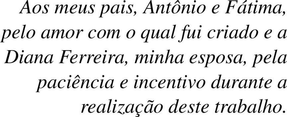 Ferreira, minha esposa, pela paciência e