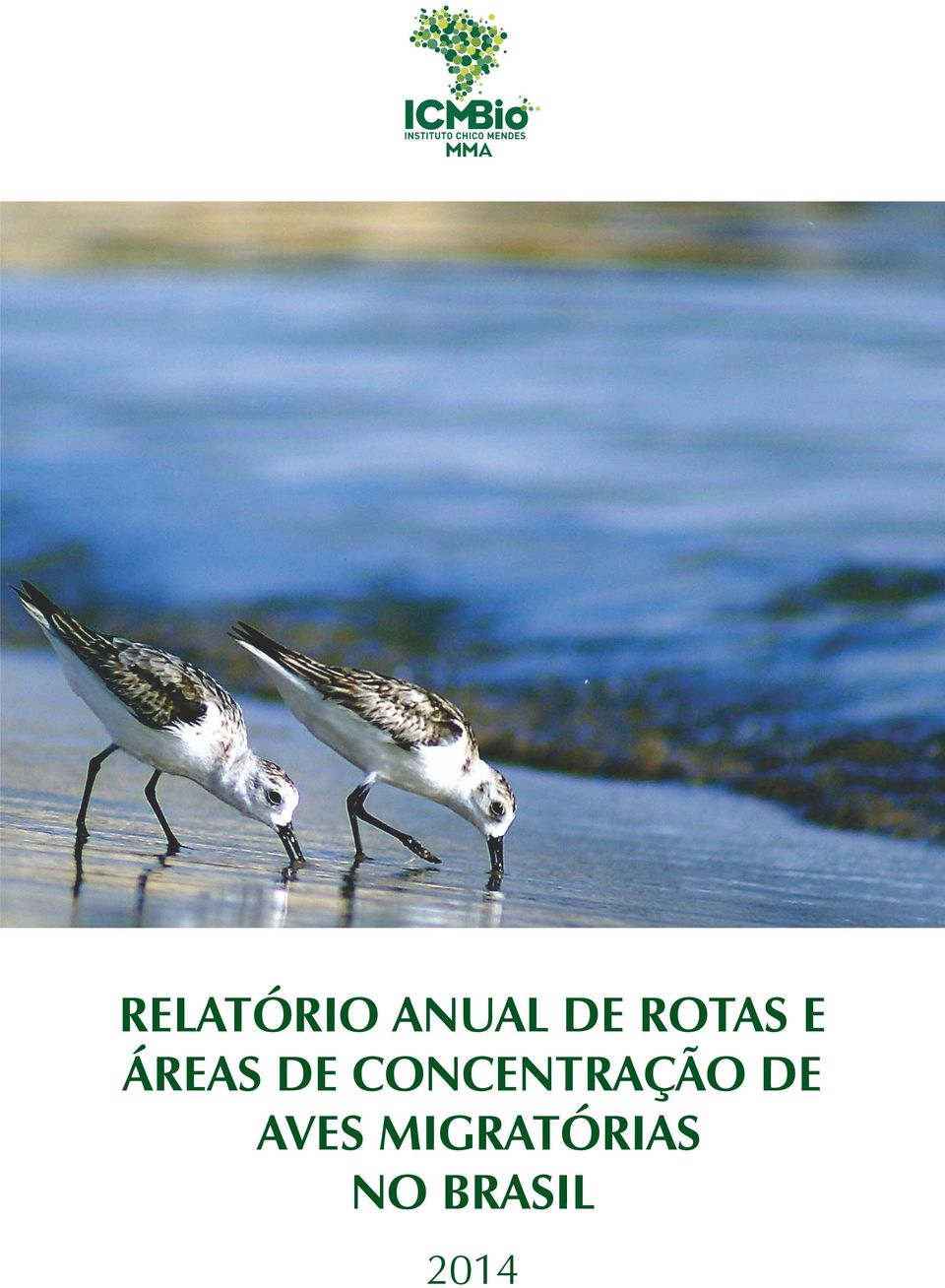 CONCENTRAÇÃO DE AVES