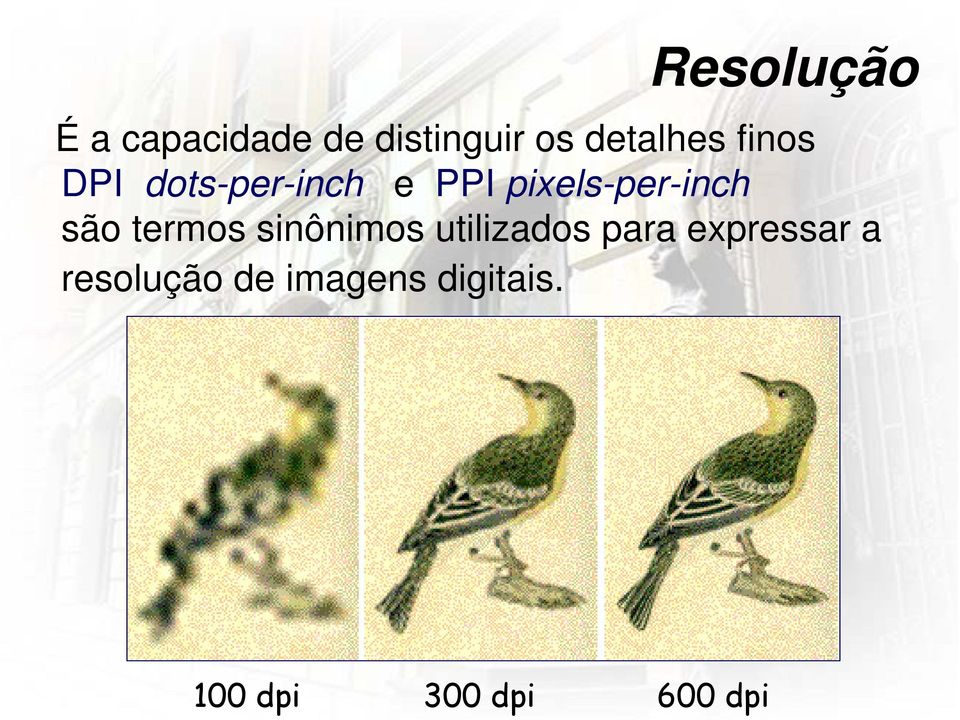 pixels-per-inch são termos sinônimos utilizados