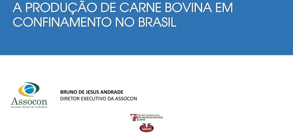 BRASIL BRUNO DE JESUS