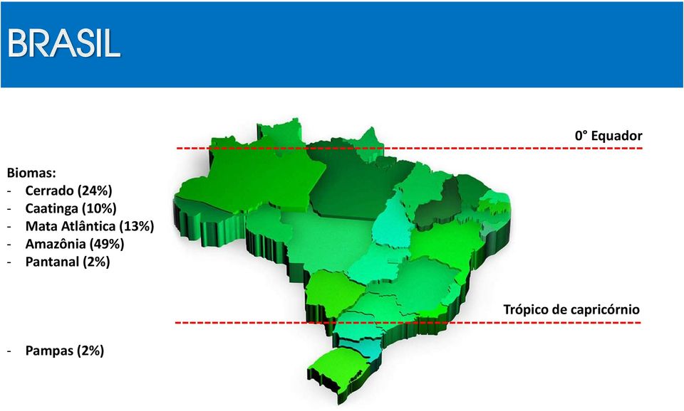Atlântica (13%) - Amazônia (49%) -