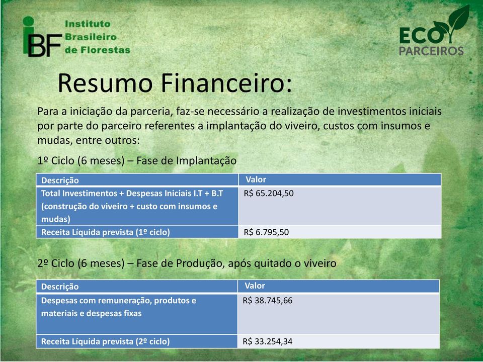 T R$ 65.204,50 (construção do viveiro + custo com insumos e mudas) Receita Líquida prevista (1º ciclo) R$ 6.