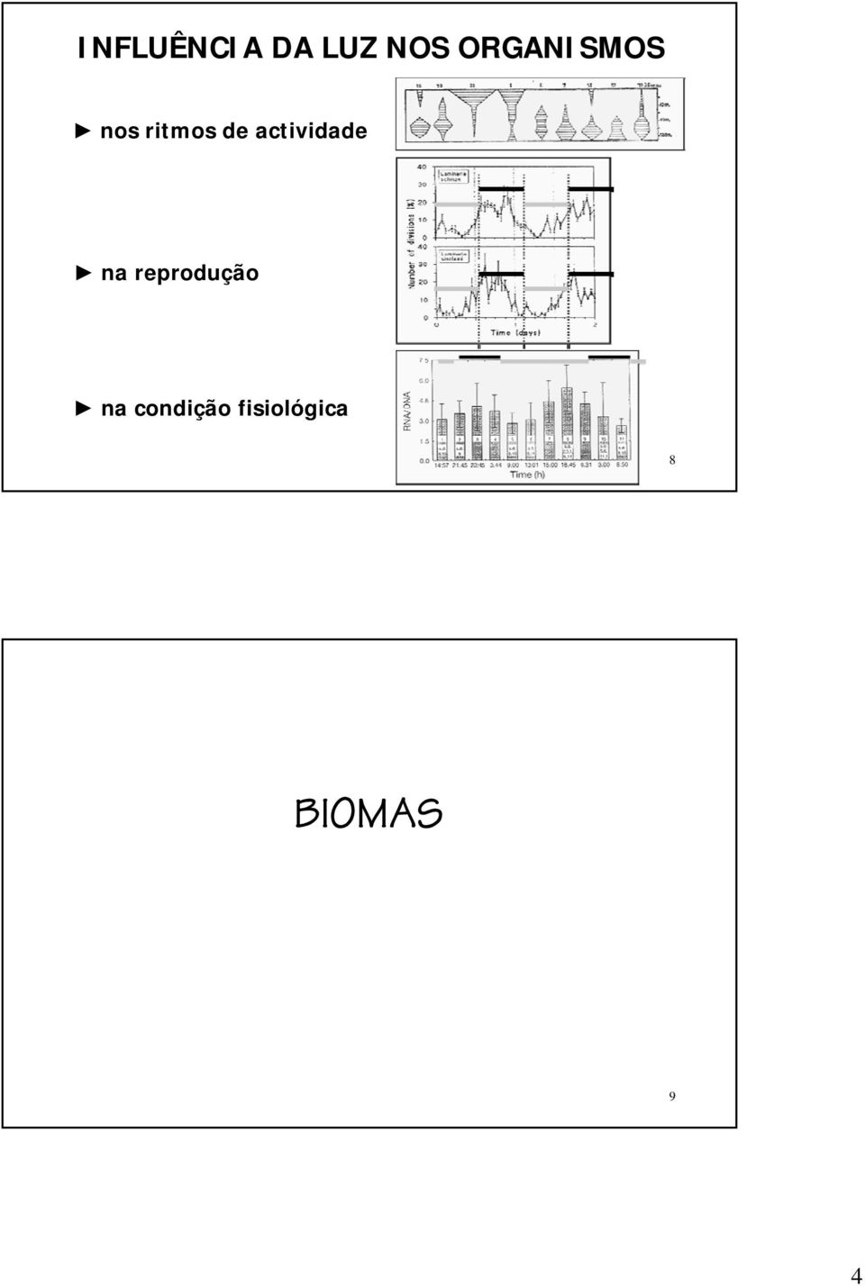 actividade na reprodução