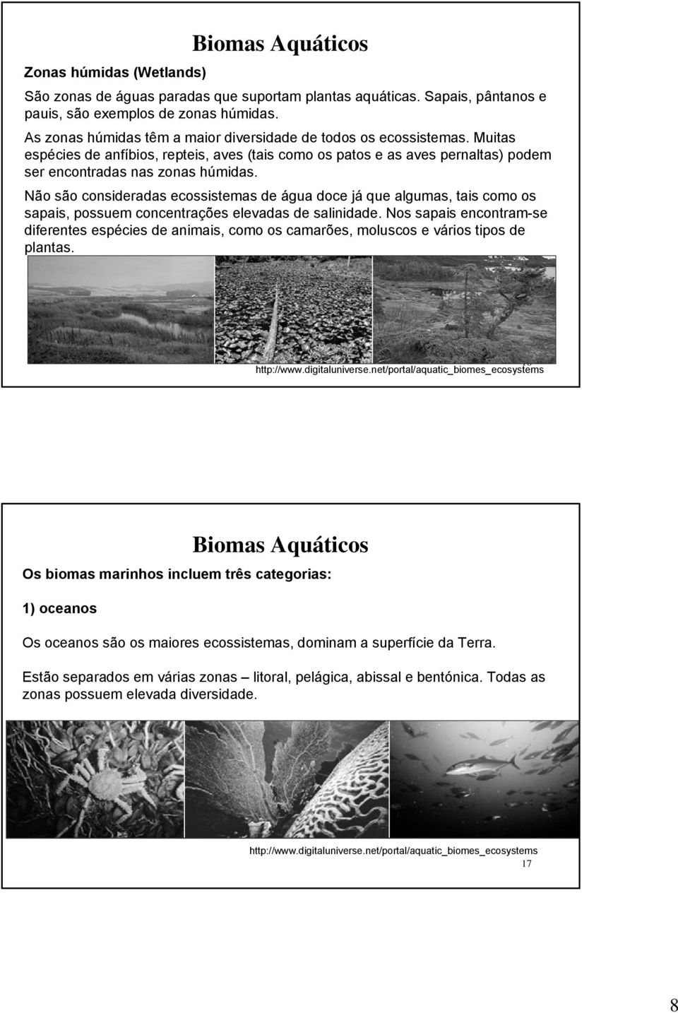 Não são consideradas ecossistemas de água doce já que algumas, tais como os sapais, possuem concentrações elevadas de salinidade.