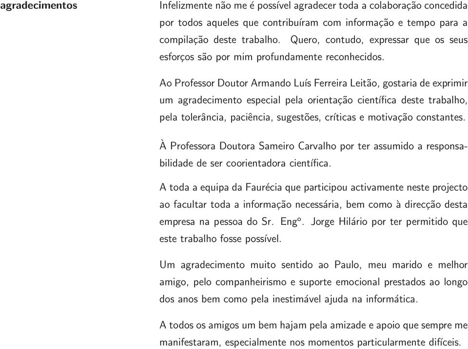 Ao Professor Doutor Armando Luís Ferreira Leitão, gostaria de exprimir um agradecimento especial pela orientação científica deste trabalho, pela tolerância, paciência, sugestões, críticas e motivação