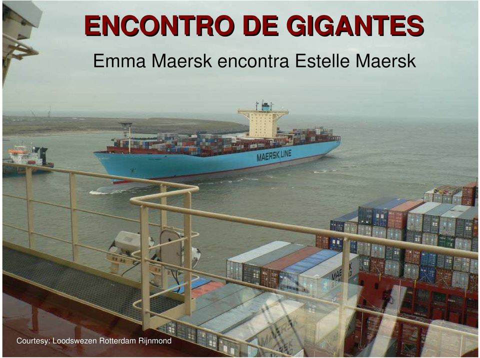 Estelle Maersk Courtesy: