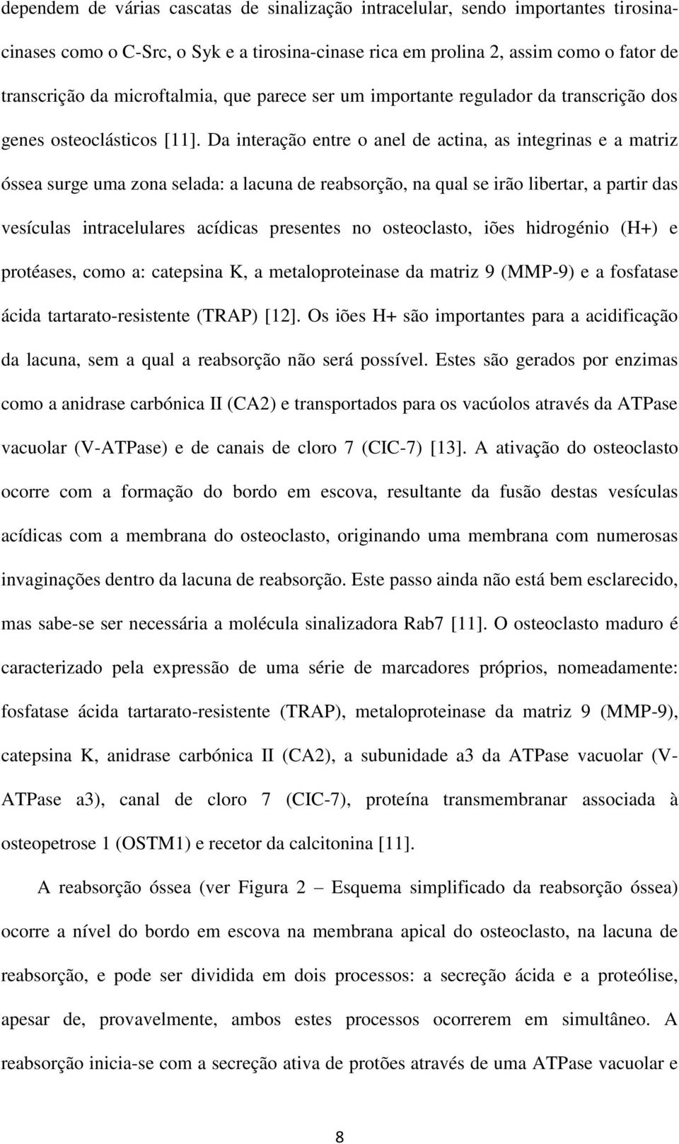 Da interação entre o anel de actina, as integrinas e a matriz óssea surge uma zona selada: a lacuna de reabsorção, na qual se irão libertar, a partir das vesículas intracelulares acídicas presentes